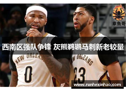 西南区强队争锋 灰熊鹈鹕马刺新老较量